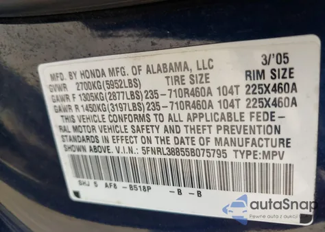 2005 Honda Odyssey Touring z USA, uszkodzony, nr VIN 5FNRL38855B075795